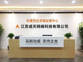 無(wú)錫阿里巴巴運(yùn)營(yíng) 網(wǎng)絡(luò)技術(shù)服務(wù)的創(chuàng)新與實(shí)踐